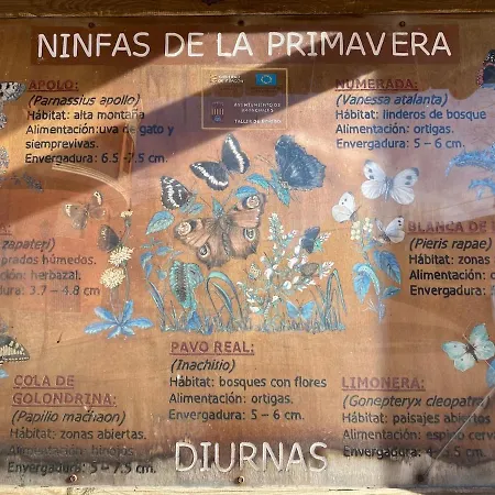 Apartamento ático Con Chimenea En