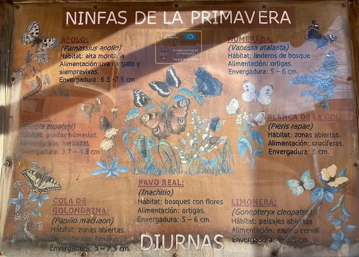 Daire Atico Con Chimenea En