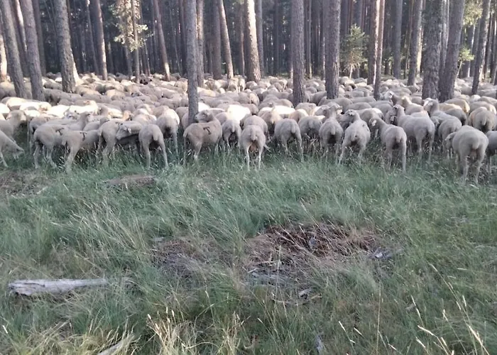 Atico Con Chimenea En