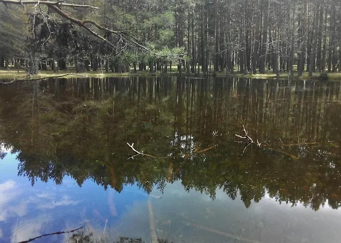 Atico Con Chimenea En Daire Bronchales