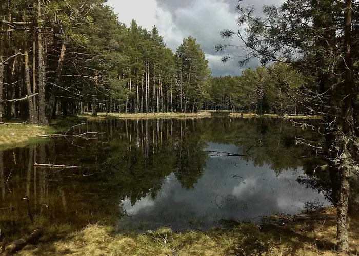 Daire Atico Con Chimenea En *